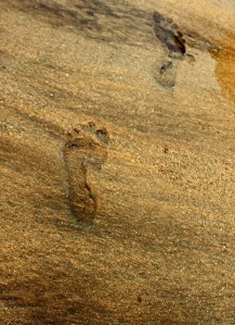 footprint